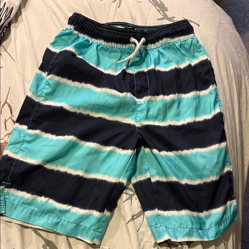 Aqua and Navy Striped Kids Swim Trunks
